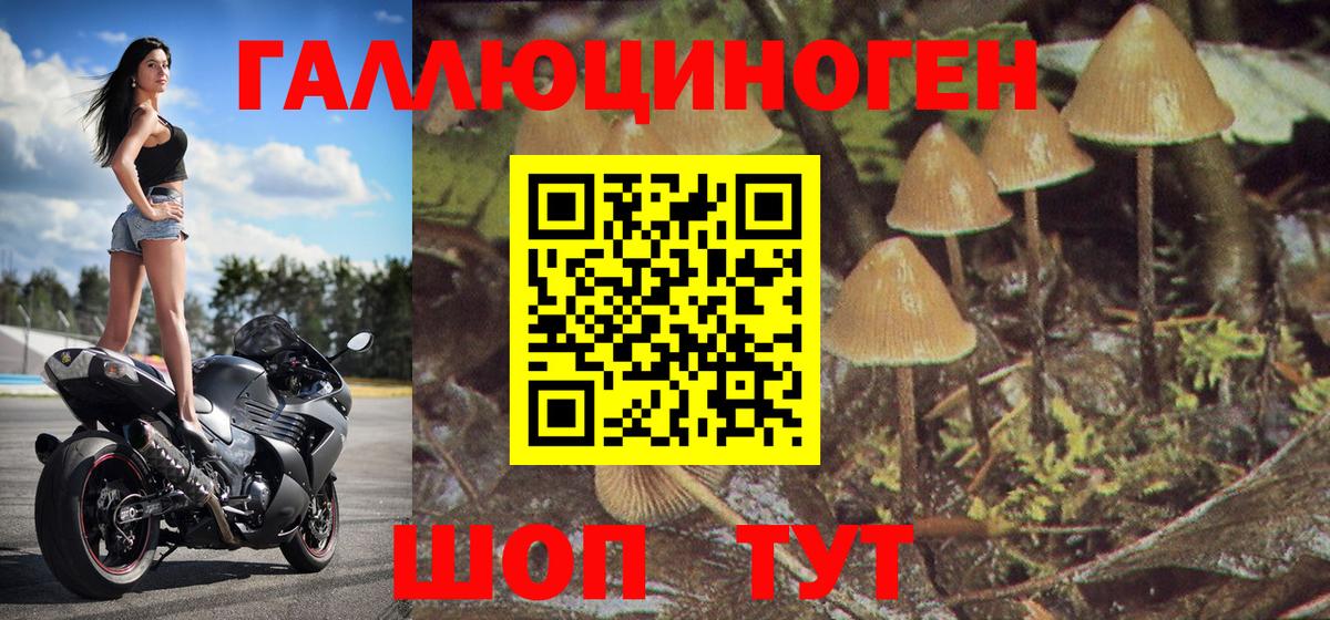 Псилоцибиновые грибы прущие грибы  Галлюциногенные грибы Psilocybine cubensis  Мурино  Вход с VPN 