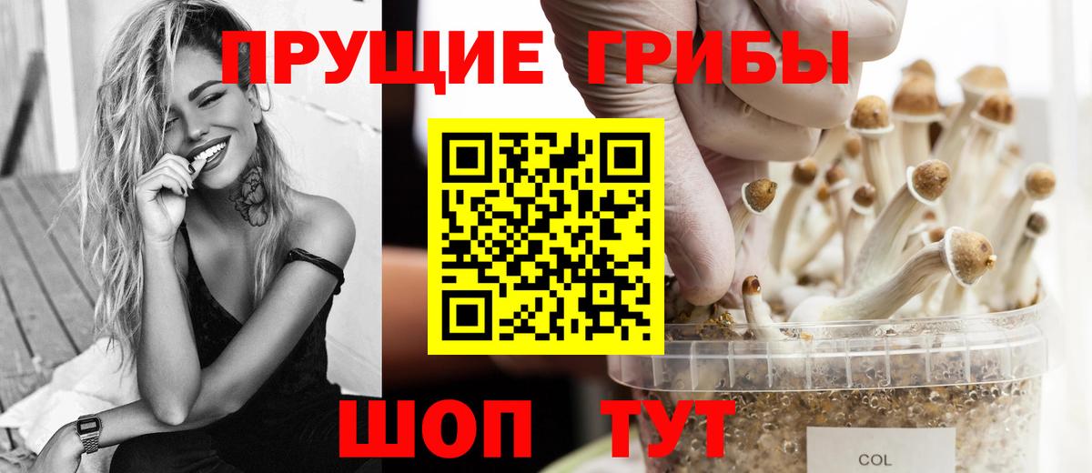 Галлюциногенные грибы Cubensis Мурино